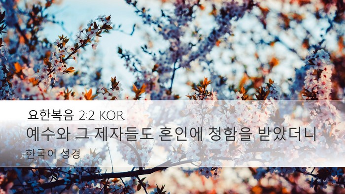 요한복음 2:2 KOR Bible Verse Image