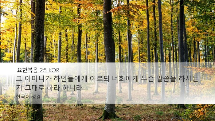 요한복음 2:5 KOR Bible Verse Image