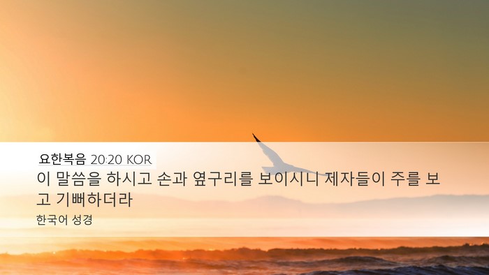 요한복음 20:20 KOR Bible Verse Image