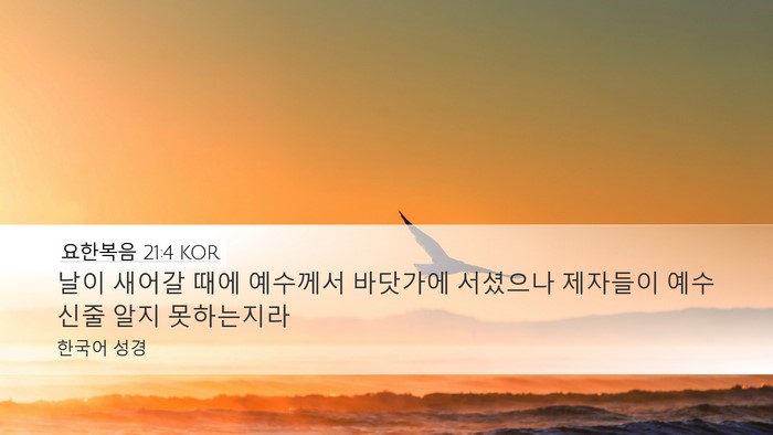 요한복음 21:4 KOR Desktop Wallpaper - 날이 새어갈 때에 예수께서 바닷가에 - Desktop Bible Verse Wallpaper