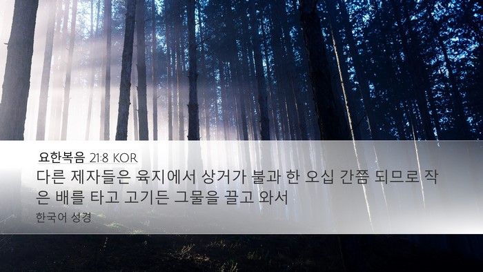 요한복음 21:8 KOR Bible Verse Image