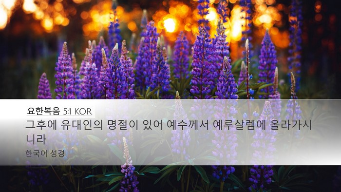 요한복음 5:1 KOR Bible Verse Image