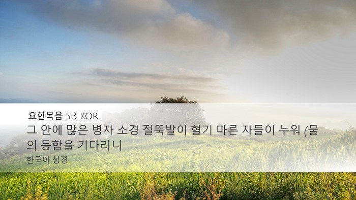 요한복음 5:3 KOR Bible Verse Image