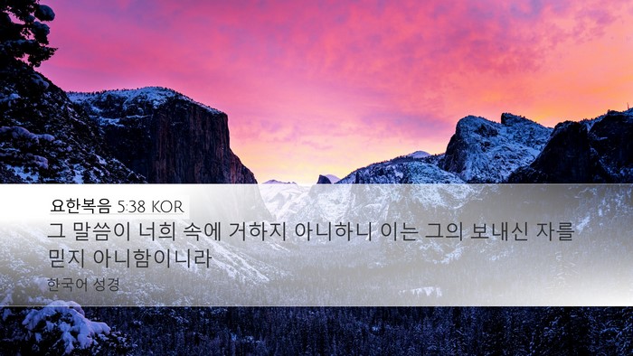 요한복음 5:38 KOR Desktop Wallpaper - 그 말씀이 너희 속에 거하지 - Desktop Bible Verse Wallpaper