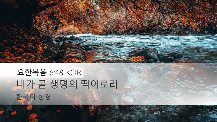 요한복음 6:48 KOR Bible Verse Image