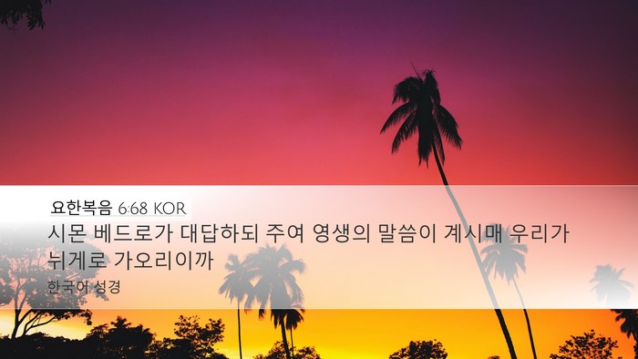 요한복음 6:68 KOR Bible Verse Image