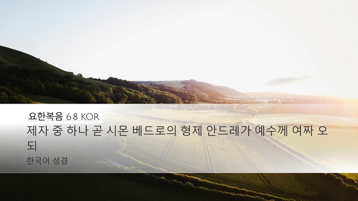요한복음 6:8 KOR Bible Verse Image