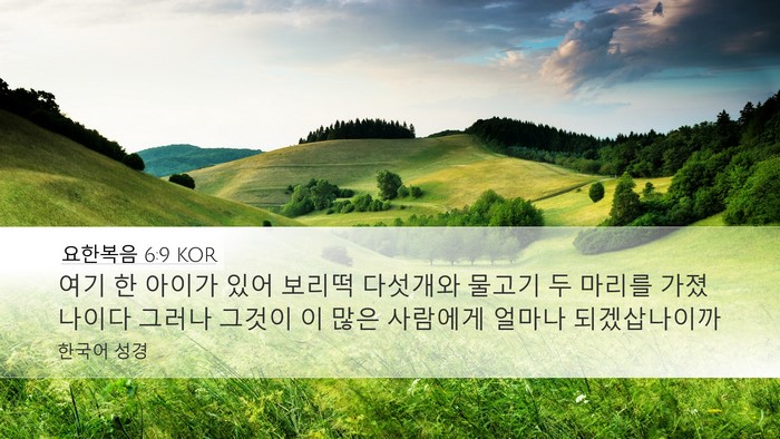 요한복음 6:9 KOR Bible Verse Image