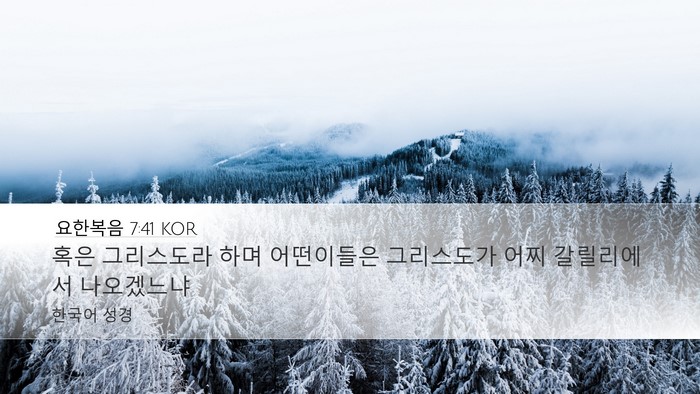 요한복음 7:41 KOR Bible Verse Image