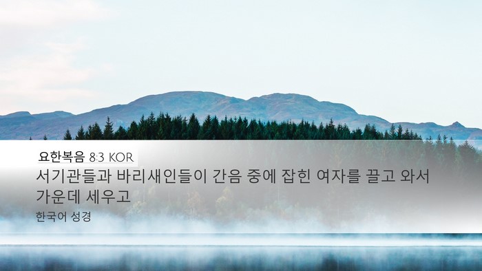 요한복음 8:3 KOR Bible Verse Image
