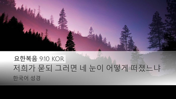 요한복음 9:10 KOR Desktop Wallpaper - 저희가 묻되 그러면 네 눈이 어떻게 - Desktop Bible Verse Wallpaper