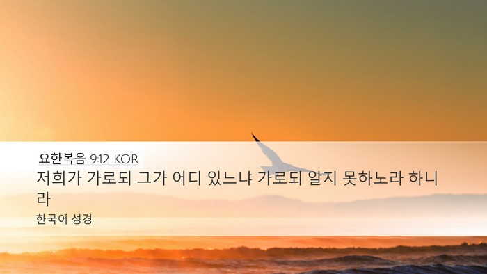 요한복음 9:12 KOR Desktop Wallpaper - 저희가 가로되 그가 어디 있느냐 - Desktop Bible Verse Wallpaper