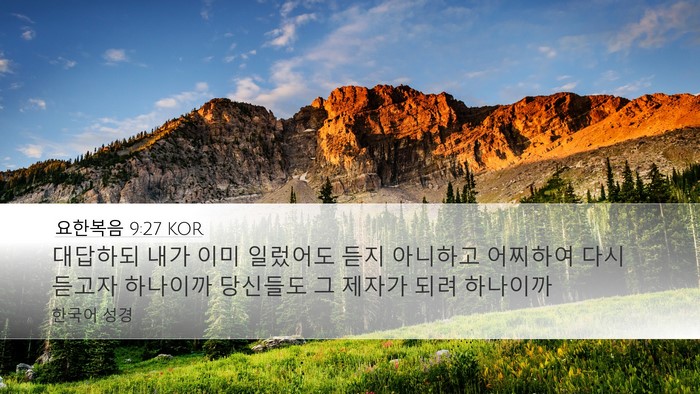 요한복음 9:27 KOR Bible Verse Image