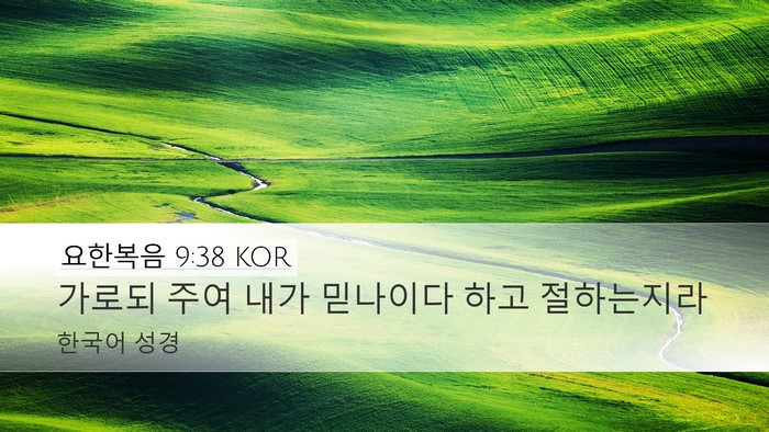 요한복음 9:38 KOR Desktop Wallpaper - 가로되 주여 내가 믿나이다 하고 - Desktop Bible Verse Wallpaper