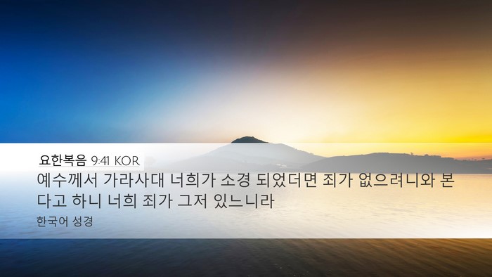 요한복음 9:41 KOR Bible Verse Image