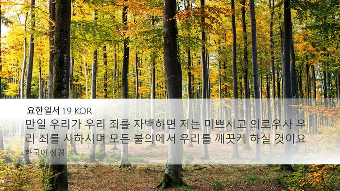 요한일서 1:9 KOR Bible Verse Image