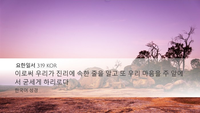 요한일서 3:19 KOR Bible Verse Image