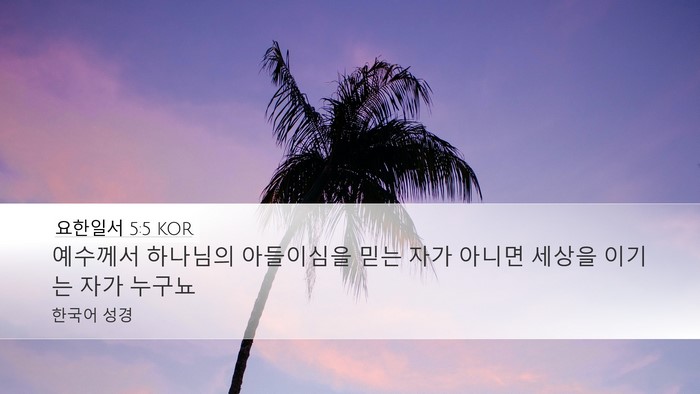 요한일서 5:5 KOR Desktop Wallpaper - 예수께서 하나님의 아들이심을 믿는 - Desktop Bible Verse Wallpaper