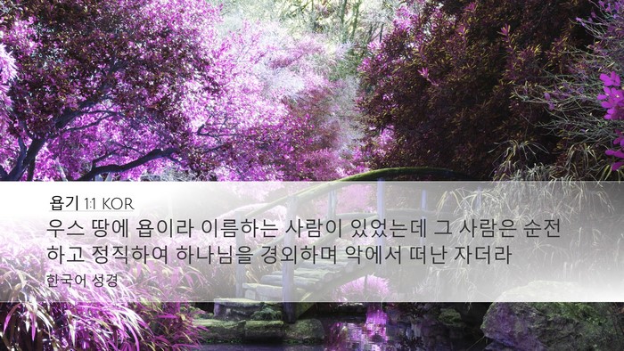 욥기 1:1 KOR Bible Verse Image
