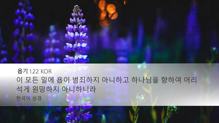욥기 1:22 KOR Bible Verse Image