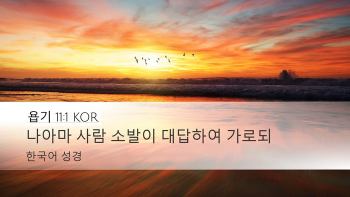 욥기 11:1 KOR Bible Verse Image