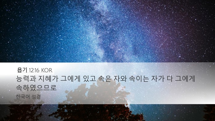 욥기 12:16 KOR Bible Verse Image
