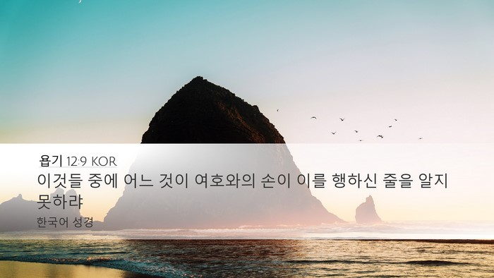 욥기 12:9 KOR Bible Verse Image