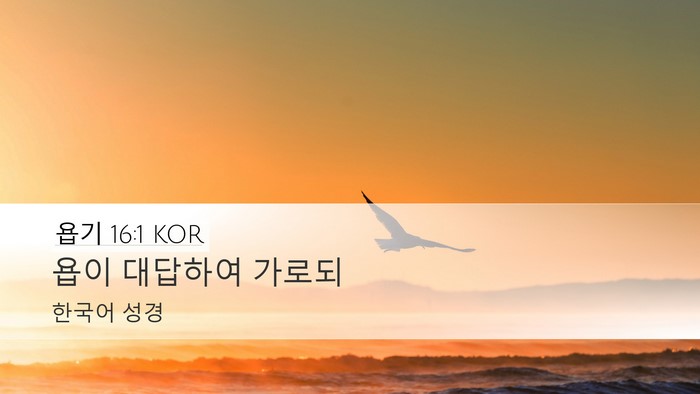 욥기 16:1 KOR Desktop Wallpaper - 욥이 대답하여 - Desktop Bible Verse Wallpaper