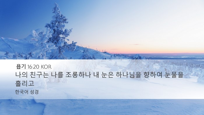 욥기 16:20 KOR Bible Verse Image