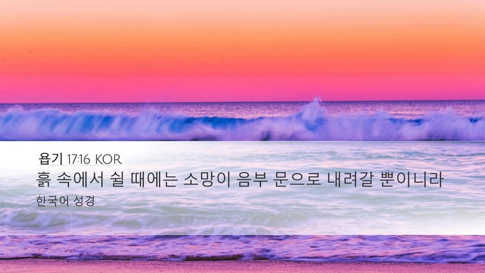 욥기 17:16 KOR Bible Verse Image