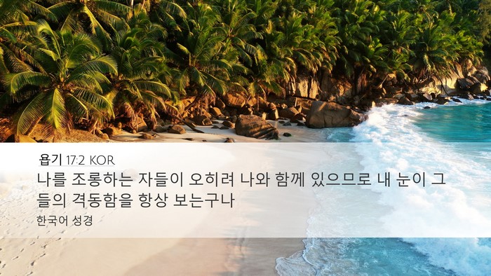 욥기 17:2 KOR Bible Verse Image