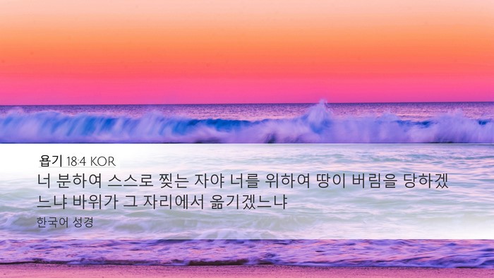 욥기 18:4 KOR Bible Verse Image