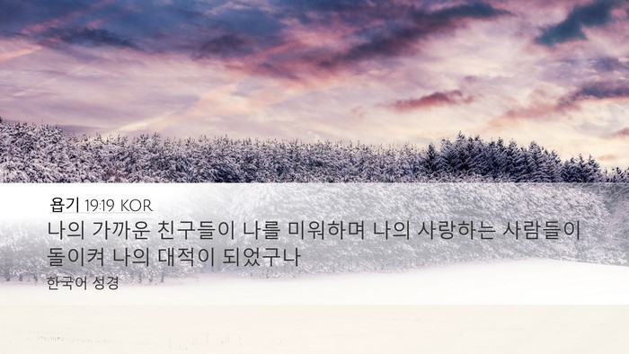 욥기 19:19 KOR Bible Verse Image