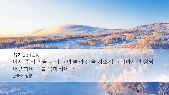 욥기 2:5 KOR Bible Verse Image