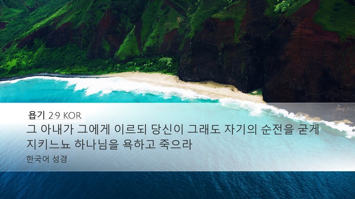 욥기 2:9 KOR Bible Verse Image