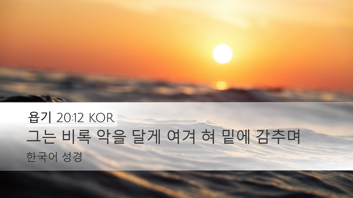 욥기 20:12 KOR Bible Verse Image