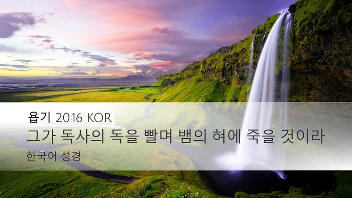 욥기 20:16 KOR Bible Verse Image