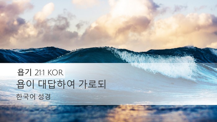 욥기 21:1 KOR Desktop Wallpaper - 욥이 대답하여 - Desktop Bible Verse Wallpaper
