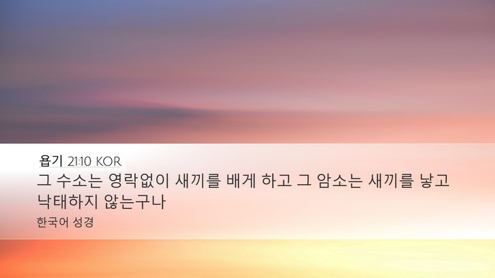 욥기 21:10 KOR Bible Verse Image