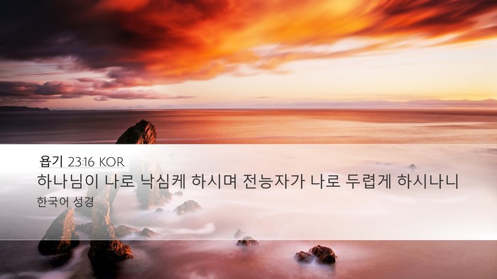 욥기 23:16 KOR Bible Verse Image