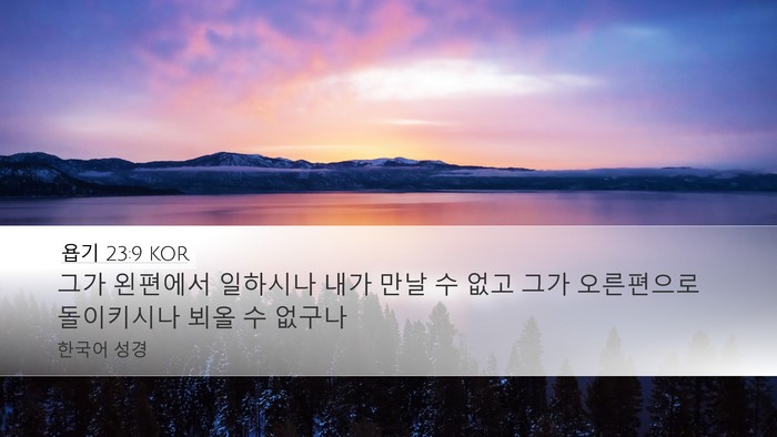 욥기 23:9 KOR Bible Verse Image