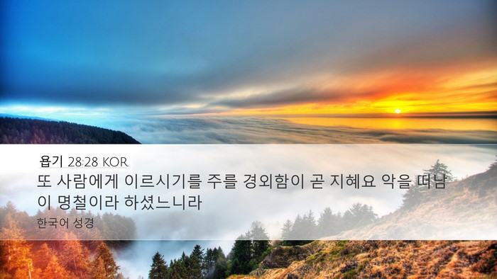 욥기 28:28 KOR Bible Verse Image