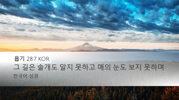 욥기 28:7 KOR Bible Verse Image