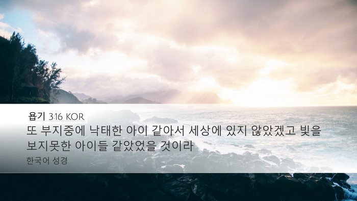 욥기 3:16 KOR Bible Verse Image