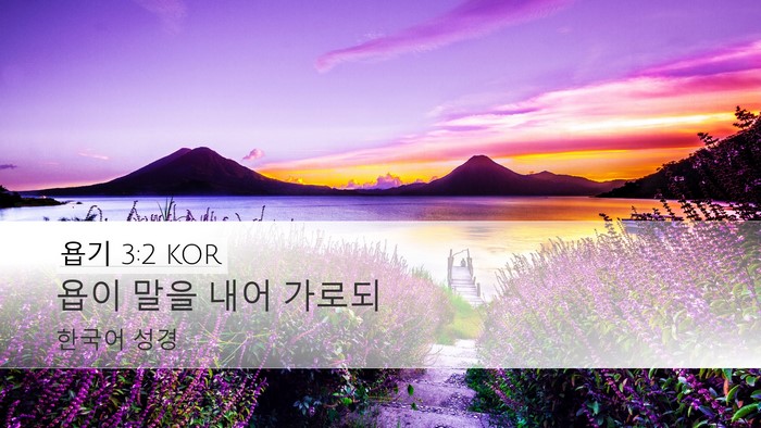 욥기 3:2 KOR Desktop Wallpaper - 욥이 말을 내어 - Desktop Bible Verse Wallpaper