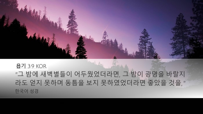 욥기 3:9 KOR Bible Verse Image