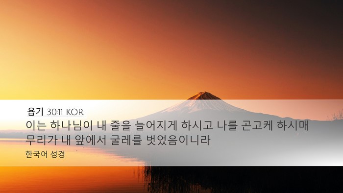 욥기 30:11 KOR Desktop Wallpaper - 이는 하나님이 내 줄을 늘어지게 - Desktop Bible Verse Wallpaper