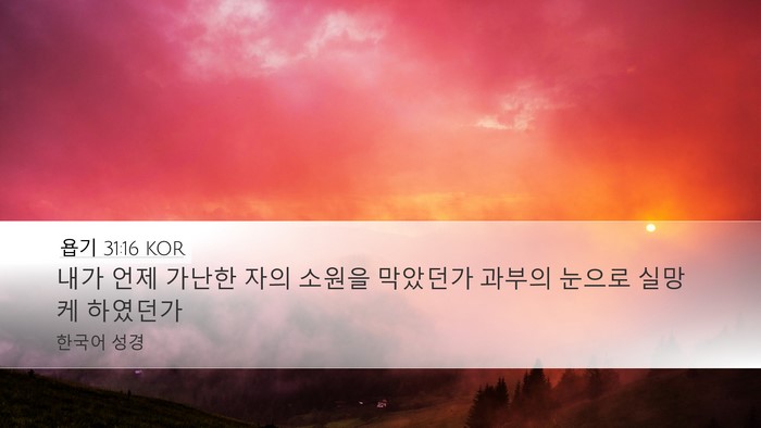 욥기 31:16 KOR Bible Verse Image