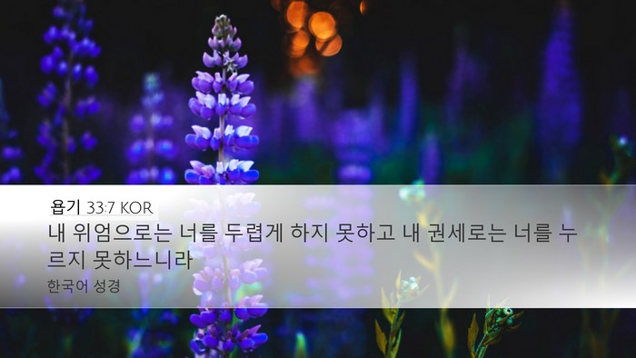 욥기 33:7 KOR Desktop Wallpaper - 내 위엄으로는 너를 두렵게 하지 - Desktop Bible Verse Wallpaper