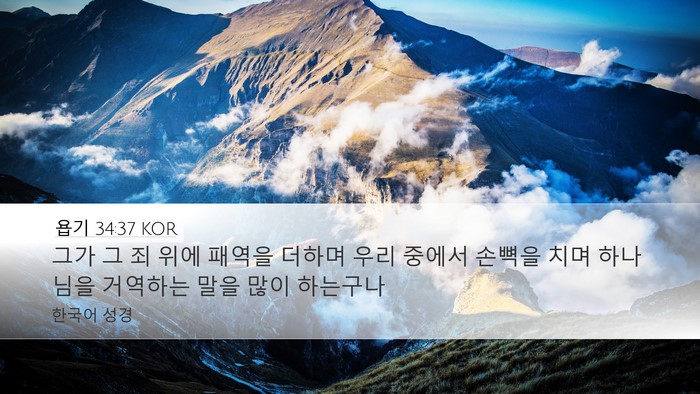 욥기 34:37 KOR Bible Verse Image